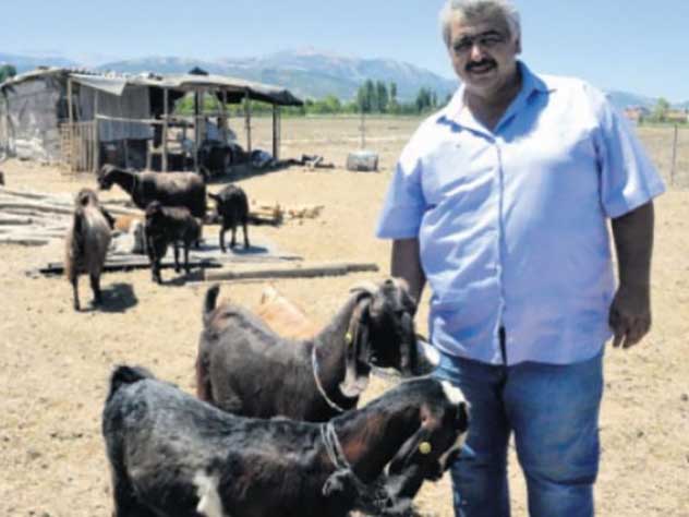 В турецком футбольном клубе с безденежьем борются весьма оригинально