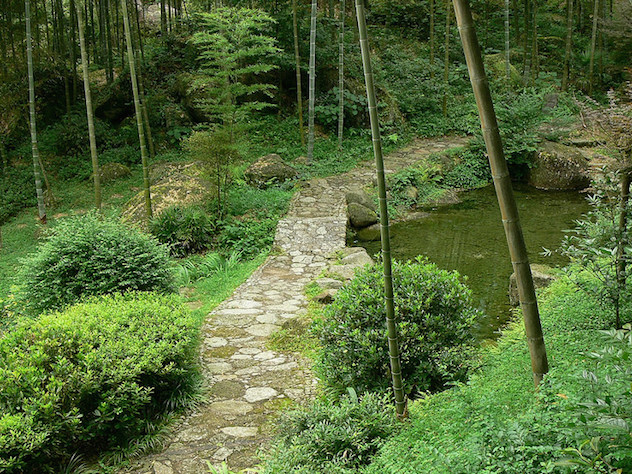 ребенок выжил в лесу