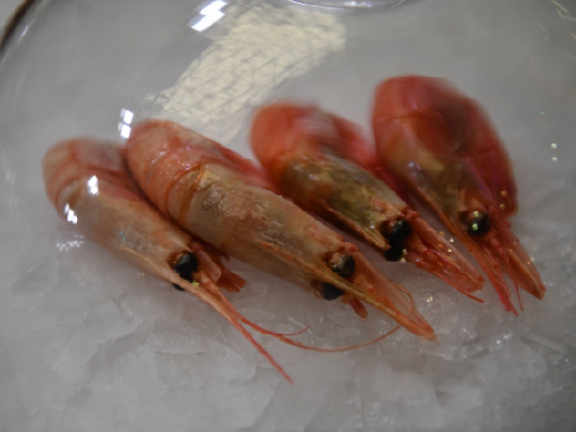Эксперты рассказали, как выбрать вкусные и полезные креветки