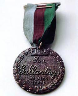 Медаль Марии Дикин, вручается за особые заслуги животным. Источник: Wikimedia.org