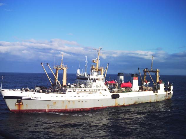 На траулере «Пиленга» погиб судовой врач