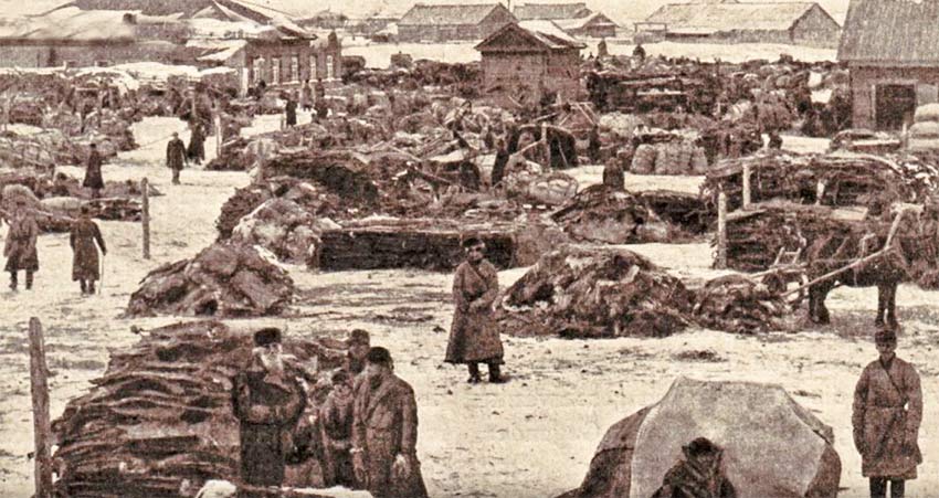 Выменянная у чукчей пушнина.