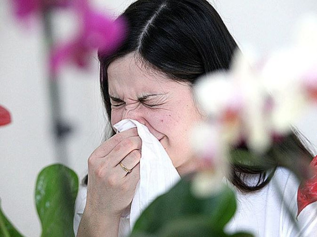 Что может вызвать аллергию