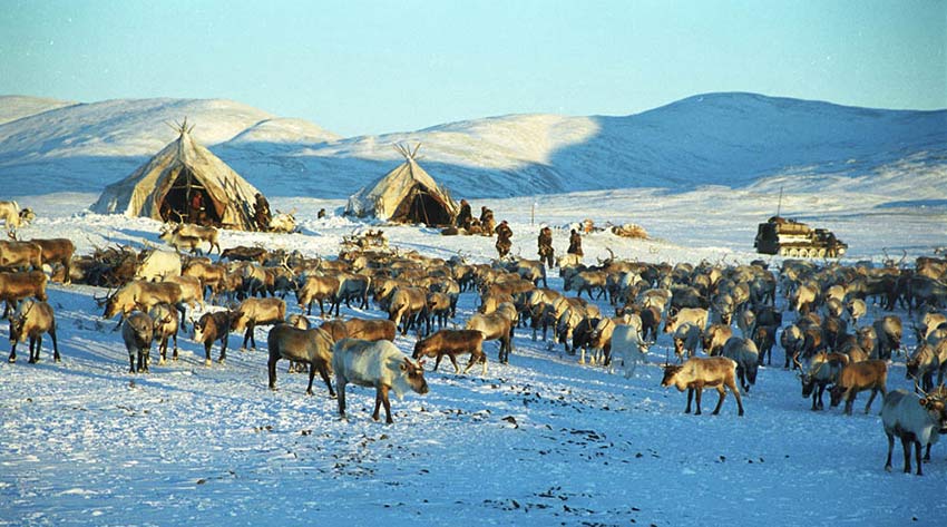 Современное стойбище.