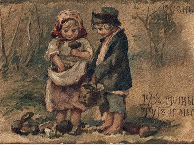 Как приготовить грибы по старинным рецептам