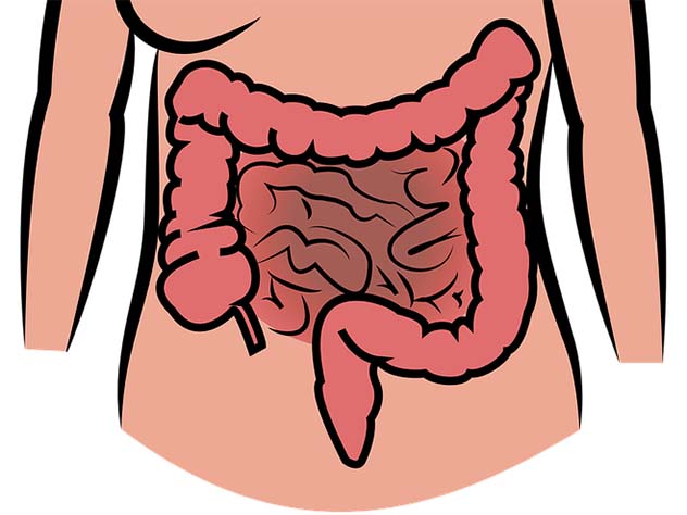 Рак кишечника