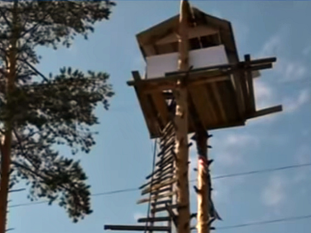 Креативный пенсионер из Свердловской области построил домик на двух соснах