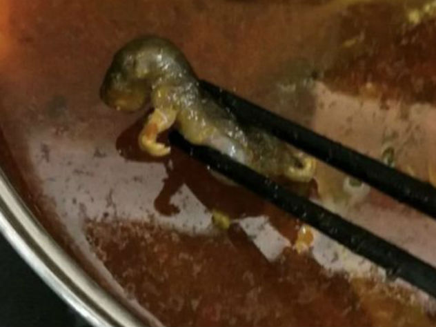 Беременная китаянка нашла супе крысу