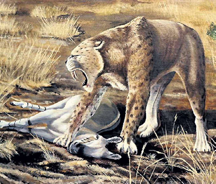 Древние гиены были размером с современного тигра