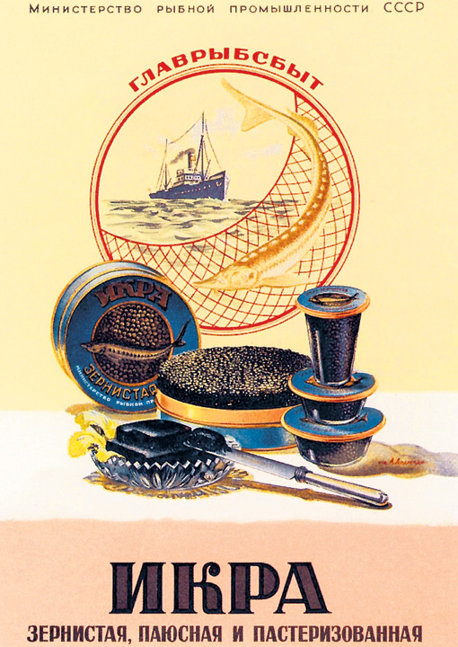 В конце 50-х при средней зарплате у рабочих 785 руб., а у колхозников 458 руб. цена черной икры колебалась от 160 до 200 руб./ кг. В магазинах ее черпали прямо из бочек. А бутерброд с черной икрой в общепите стоил 3,6 руб. Но уже к 70-м годам она стала дефицитом. СССР добывал ее больше всех в мире, но почти вся она шла на экспорт. На вырученные деньги мы бесплатно строили заводы и электростанции всяким неграм, арабам и восточным славянам. Зла не хватает!