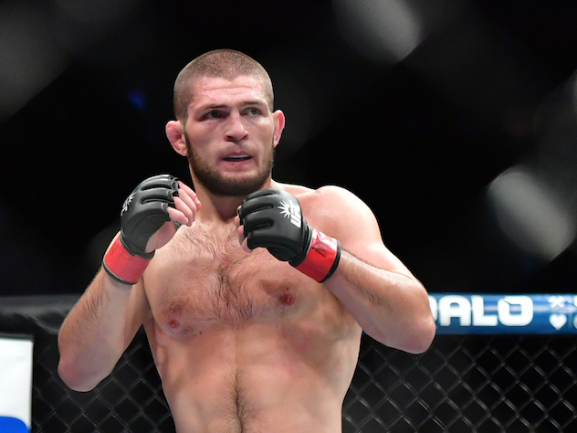 Хабиб спорт боец бой Нурмагомедов UFC