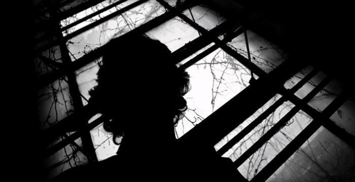 Альгирдас Бразинскас дает интервью одному из американских телеканалов. Источник youtube.com