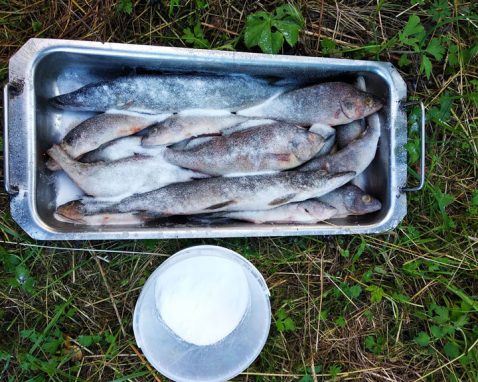 Какая щепа для копчения лучше, и как сделать ее самостоятельно