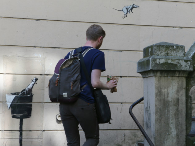 Бэнкси показал, как готовил картину к самоуничтожению
