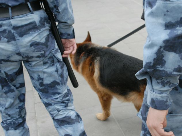 Подробности убийства следователя в Подмосковье