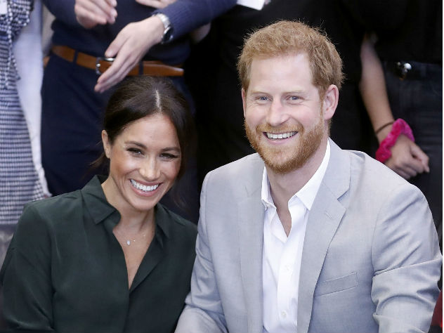 Собака принца Гарри и Меган Маркл - лабрадор