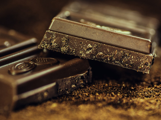 Генетики нашли родину шоколада