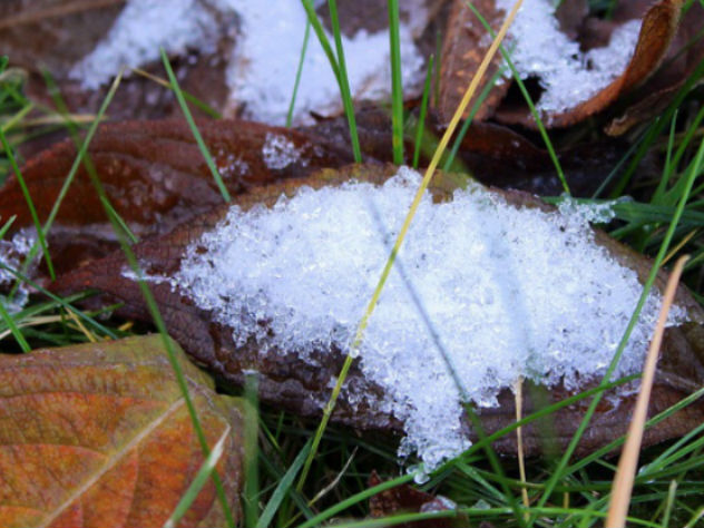 22 октября в Москве может выпасть снег