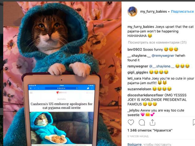 Посольство США извинилось за приглашение