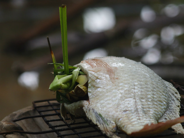 «Росконтроль» провел проверку филе тилапии от разных производителей