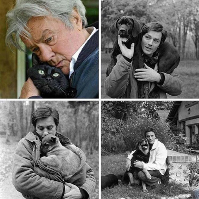 Ален Делон любит всех животных, но особенно — собак. Источник - *instagram.com/romanizone