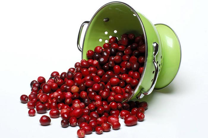 Клюква содержит одни из самых необходимых витаминов - С и В5. Фото: GLOBAL LOOK PRESS