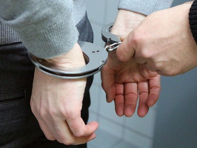 В Москве арестован Владимир Неелов