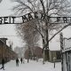 Aliens Games создала игру про концлагерь Освенцим