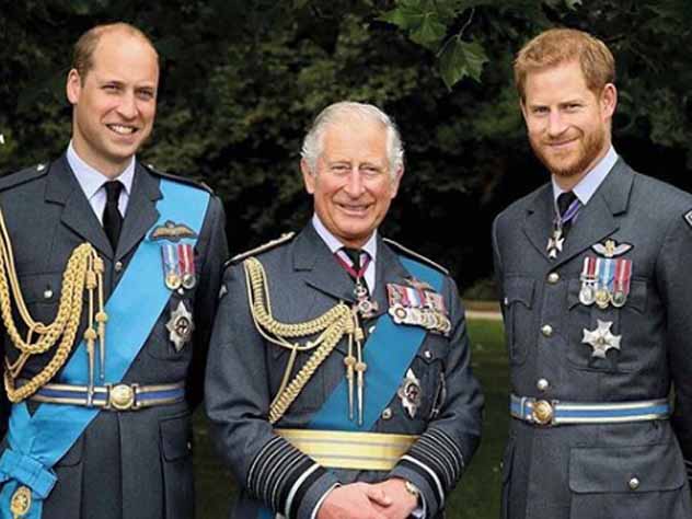 Принц Чарльз отстал по популярности от сыновей