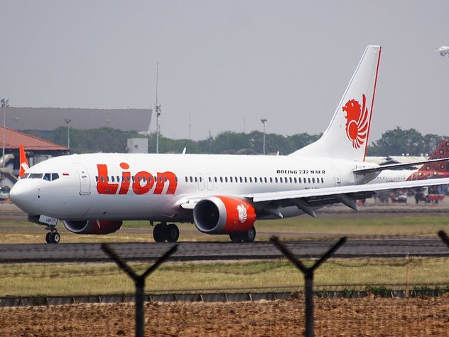 Более 240 самолетов Boeing 737 Max по всему миру могут иметь проблемы с датчиками