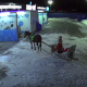 Дед Мороз в Ростове-на-Дону помыл сани на автомойке