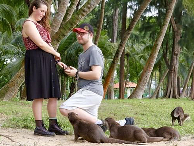 Предложение руки и сердца от Джордана Мэри запомнит нна всю жизнь