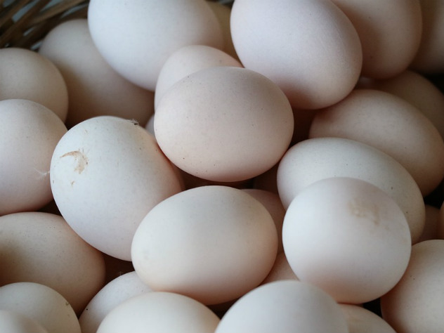 цены на продукты в России