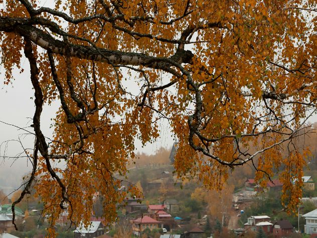 Синоптики предупредили о перемене погоды