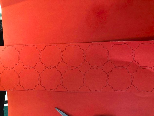 В Сети набирает популярность оптическая иллюзия, случайно созданная учительницей