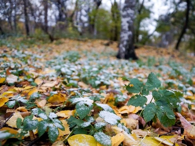 Атмосферное давление в Москве обновило 25-летний максимум