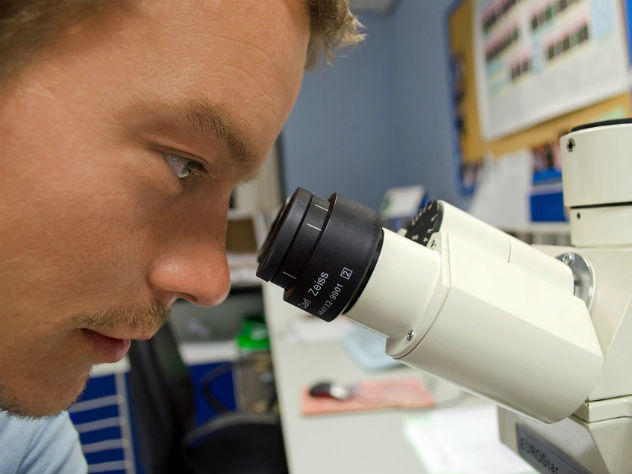 Шотландские ученые открыли сахар, успешно борющийся с раковыми клетками