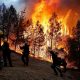 Крупнейший в истории Калифорнии пожар локализован