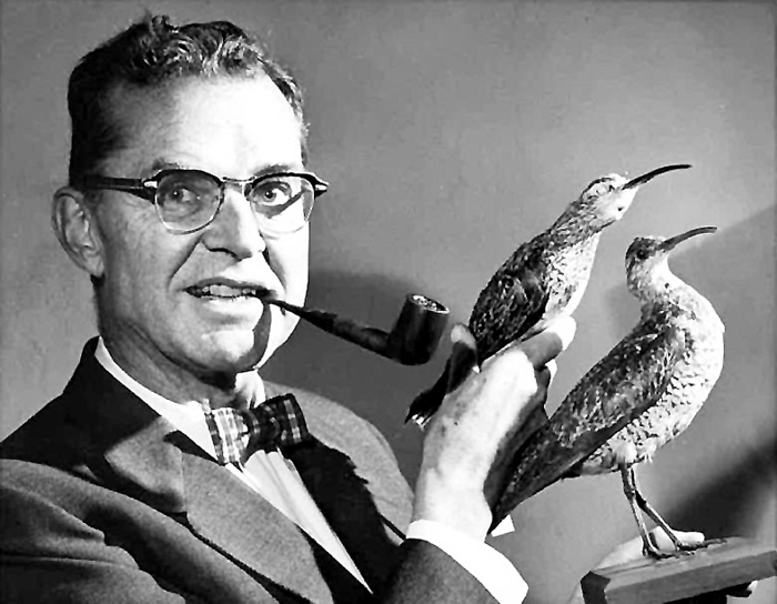 Его зовут Бонд, Джеймс Бонд