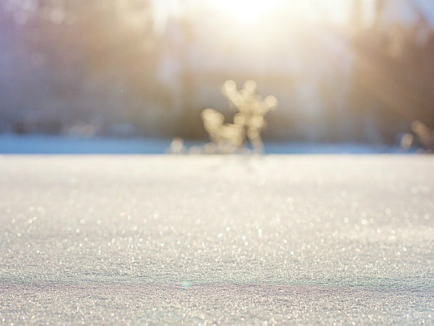 погода в Москве