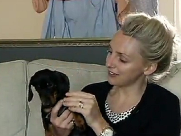 Клонированная такса Минни Винни стала мамой