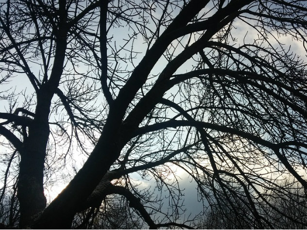 прогноз погоды в москве