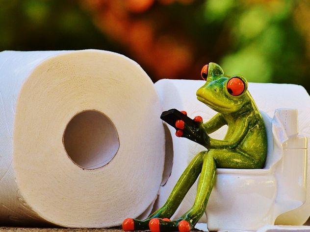 Эксперты не нашли вредные вещества в туалетной бумаге