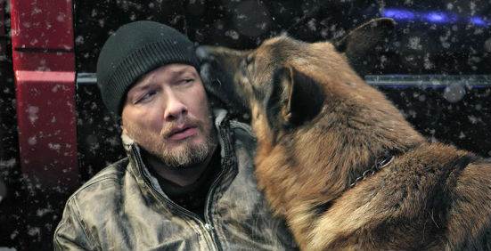 «Новогодний Пес»