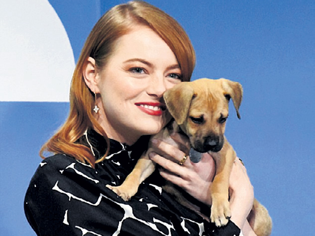 Благодаря обаянию популярной актрисы щенки быстро попадут в хорошие руки