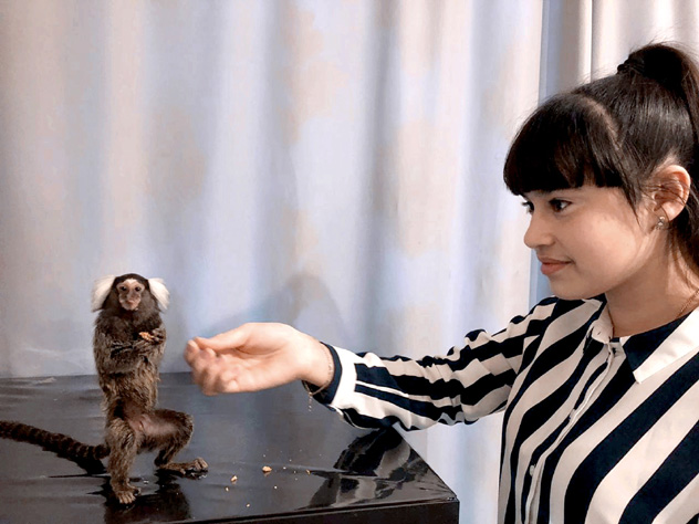 Рано или поздно Диана сделает из Тоси человека