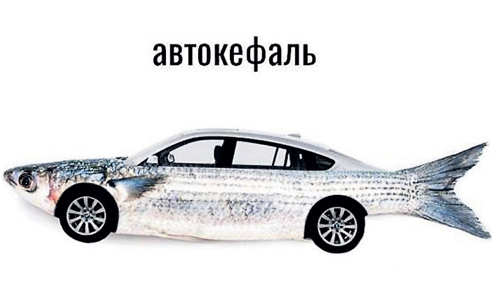 «Автокефаль» - так этот термин проиллюстрировали ребята из Одессы