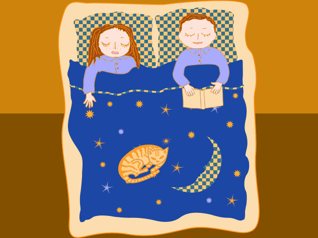 двухспальная кровать, перестановка мебели, семья, кошка