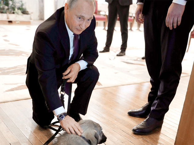 Президент РФ с новым другом