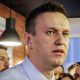 Навальный, Московский школьник, расследование